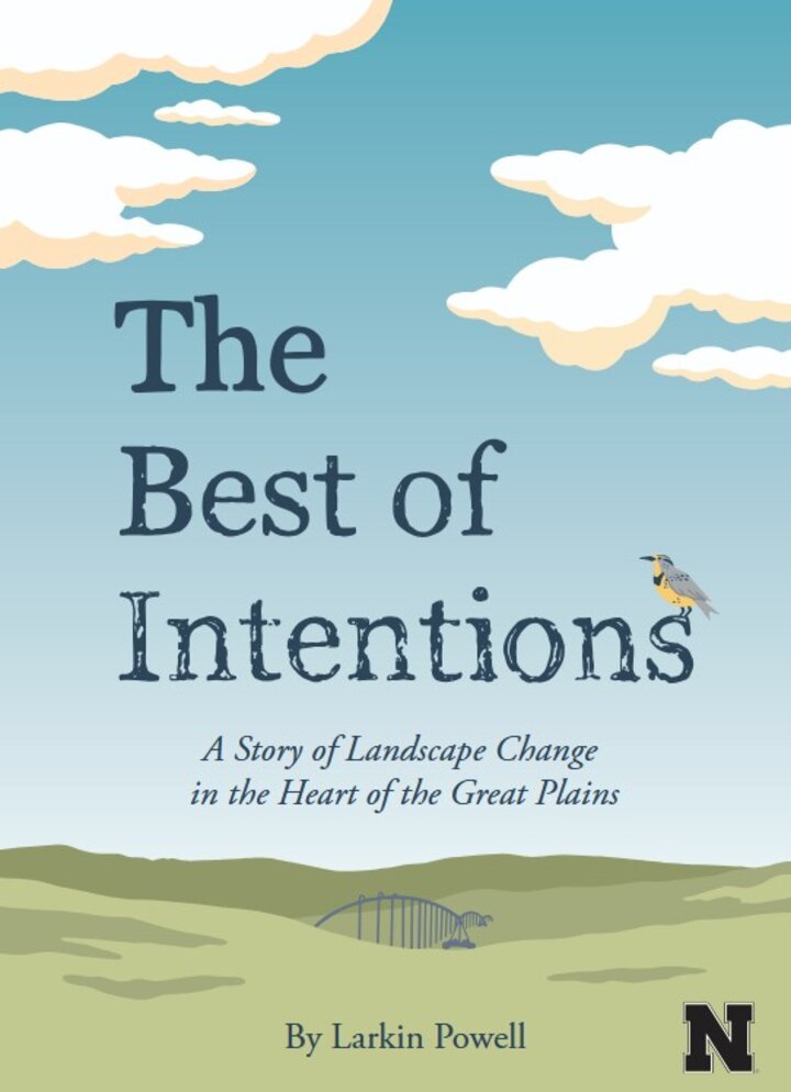 Best of Intentions book cover